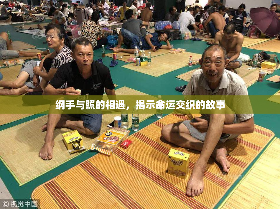纲手与照的相遇，揭示命运交织的故事