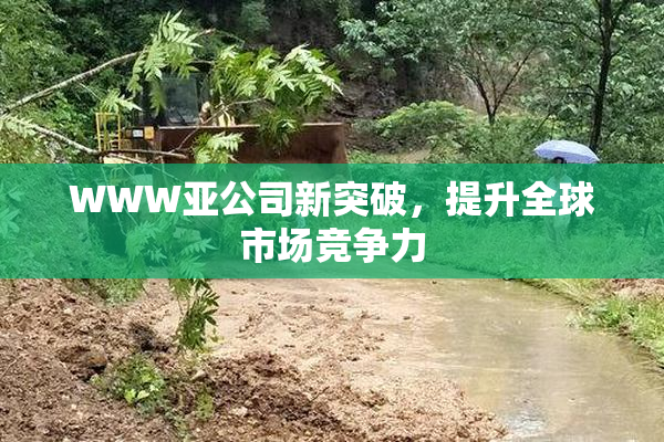 WWW亚公司新突破，提升全球市场竞争力