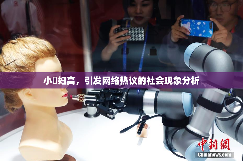 小婬妇高，引发网络热议的社会现象分析