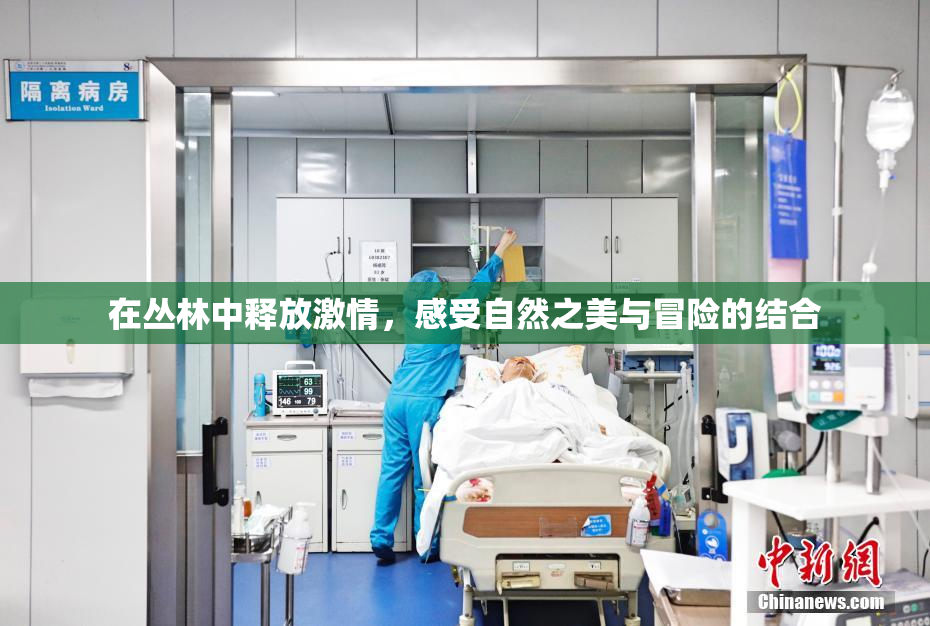 在丛林中释放激情，感受自然之美与冒险的结合