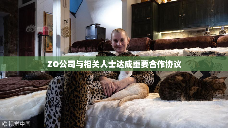 ZO公司与相关人士达成重要合作协议