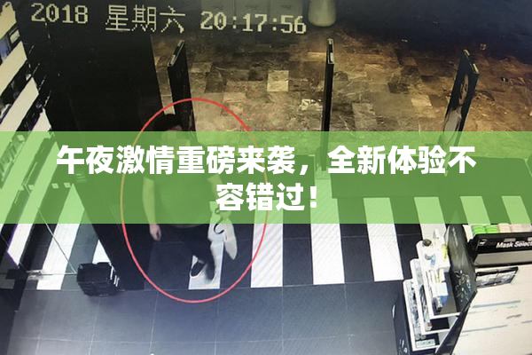 午夜激情重磅来袭，全新体验不容错过！