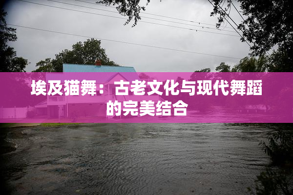 埃及猫舞：古老文化与现代舞蹈的完美结合