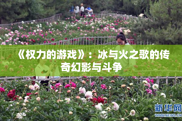 《权力的游戏》：冰与火之歌的传奇幻影与斗争