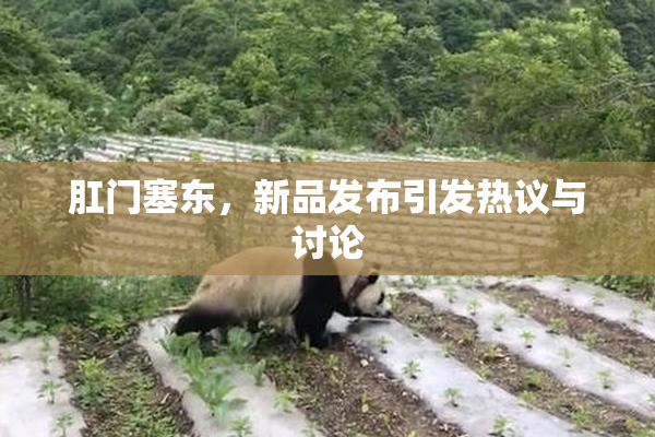 肛门塞东，新品发布引发热议与讨论