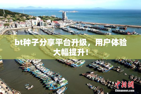 bt种子分享平台升级，用户体验大幅提升！