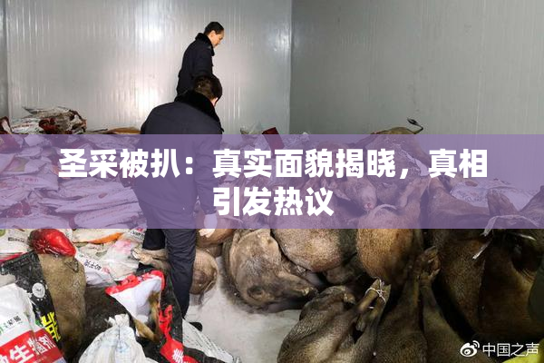 圣采被扒：真实面貌揭晓，真相引发热议