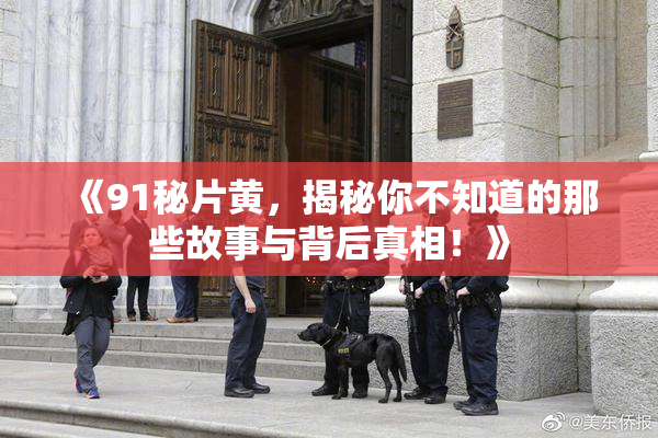 《91秘片黄，揭秘你不知道的那些故事与背后真相！》