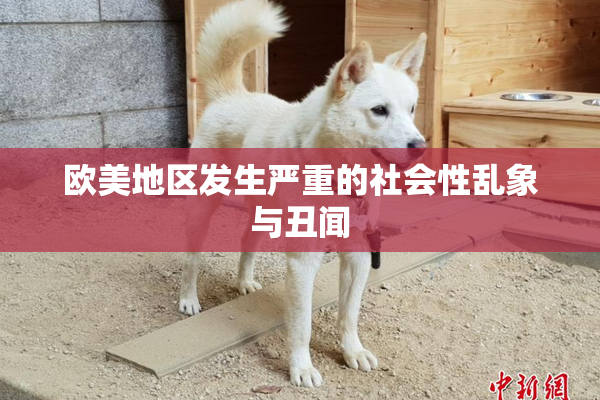 欧美地区发生严重的社会性乱象与丑闻