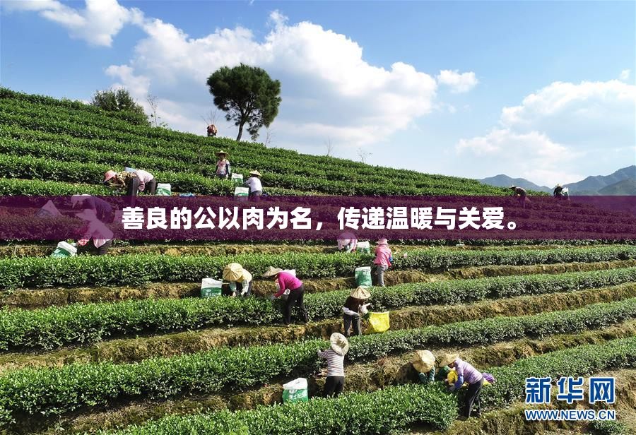 善良的公以肉为名，传递温暖与关爱。