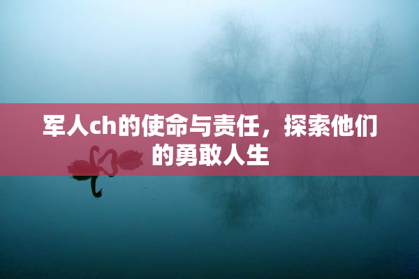 军人ch的使命与责任，探索他们的勇敢人生