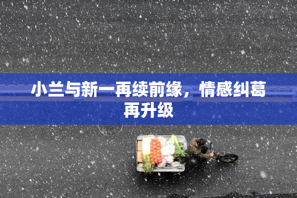小兰与新一再续前缘，情感纠葛再升级