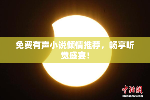 免费有声小说倾情推荐，畅享听觉盛宴！