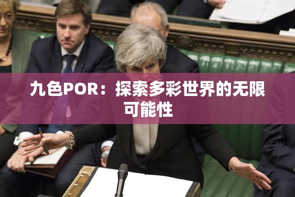 九色POR：探索多彩世界的无限可能性