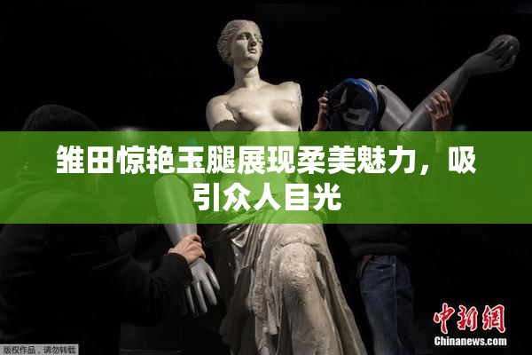 雏田惊艳玉腿展现柔美魅力，吸引众人目光