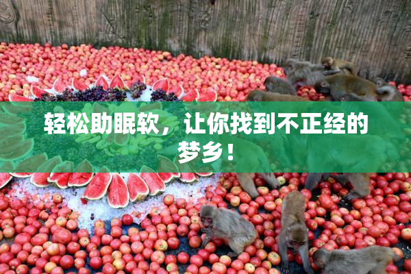 轻松助眠软，让你找到不正经的梦乡！