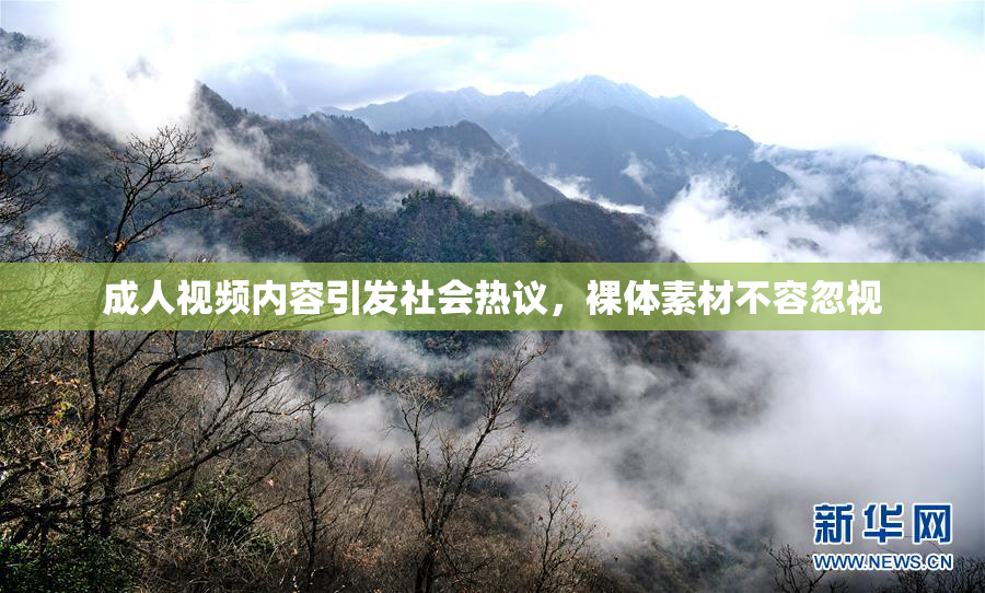 成人视频内容引发社会热议，裸体素材不容忽视