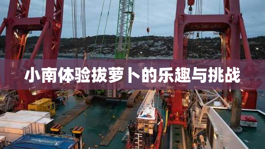 小南体验拔萝卜的乐趣与挑战