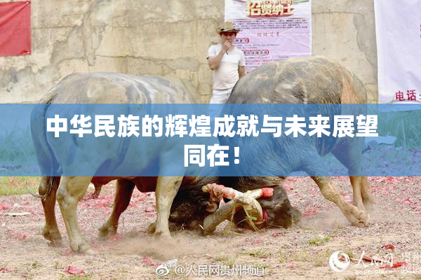 中华民族的辉煌成就与未来展望同在！