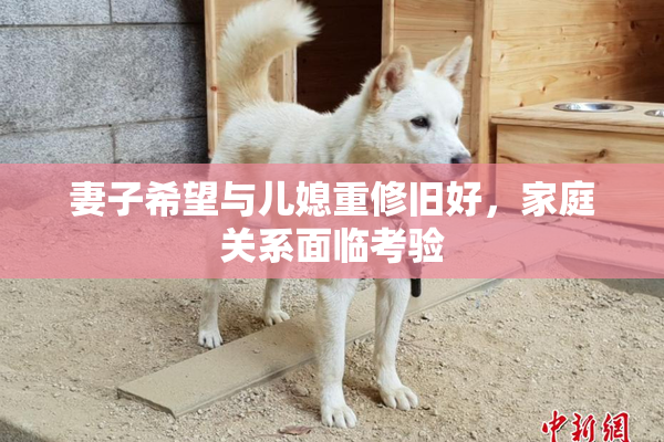 妻子希望与儿媳重修旧好，家庭关系面临考验