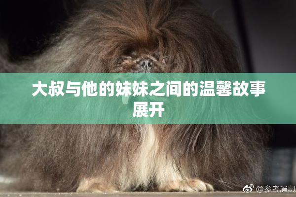 大叔与他的妹妹之间的温馨故事展开