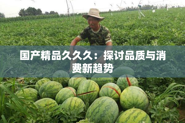 国产精品久久久：探讨品质与消费新趋势