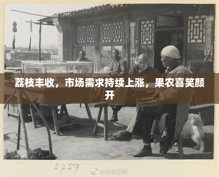荔枝丰收，市场需求持续上涨，果农喜笑颜开
