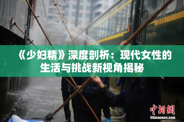 《少妇精》深度剖析：现代女性的生活与挑战新视角揭秘