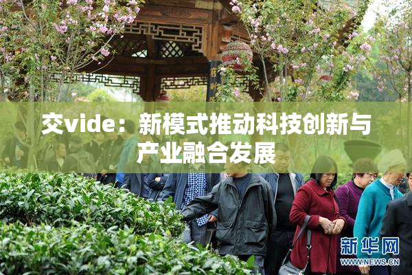 交vide：新模式推动科技创新与产业融合发展
