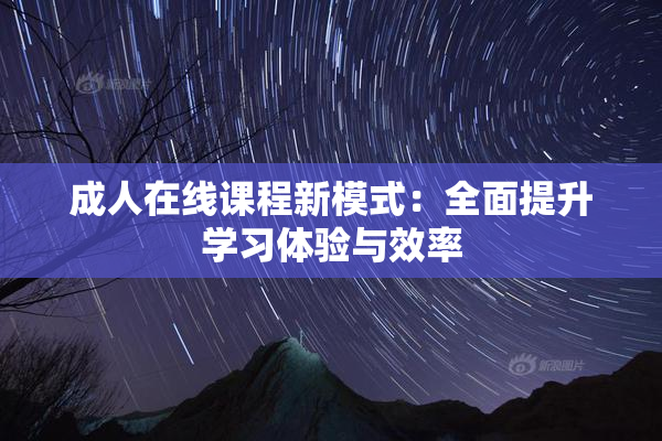 成人在线课程新模式：全面提升学习体验与效率