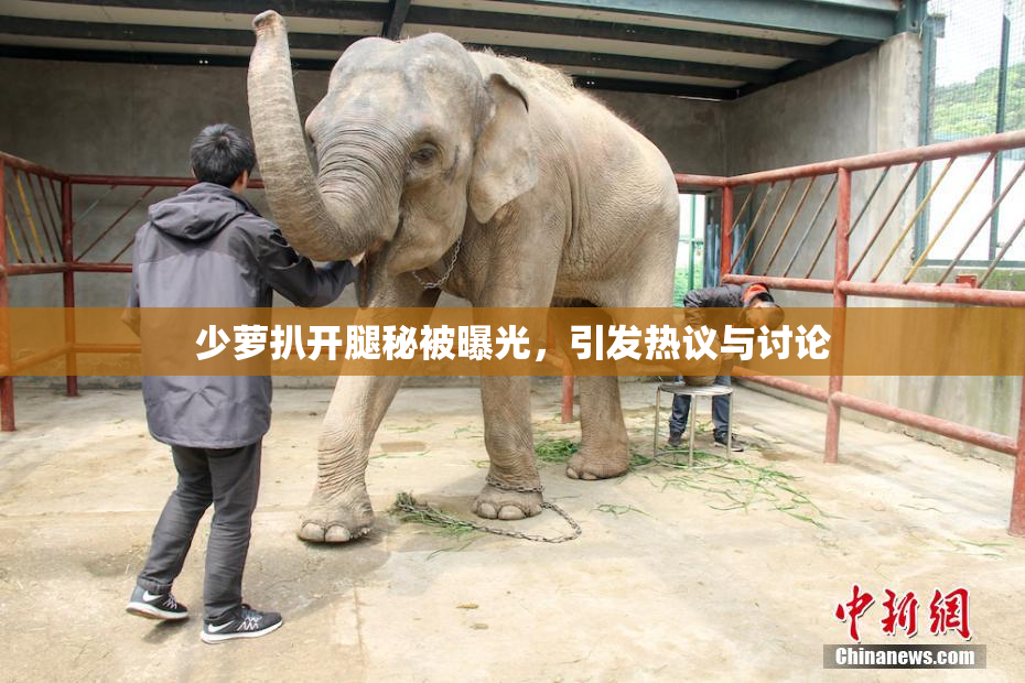 少萝扒开腿秘被曝光，引发热议与讨论