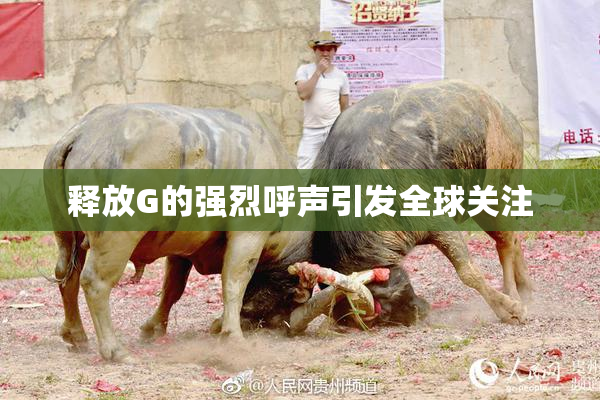 释放G的强烈呼声引发全球关注