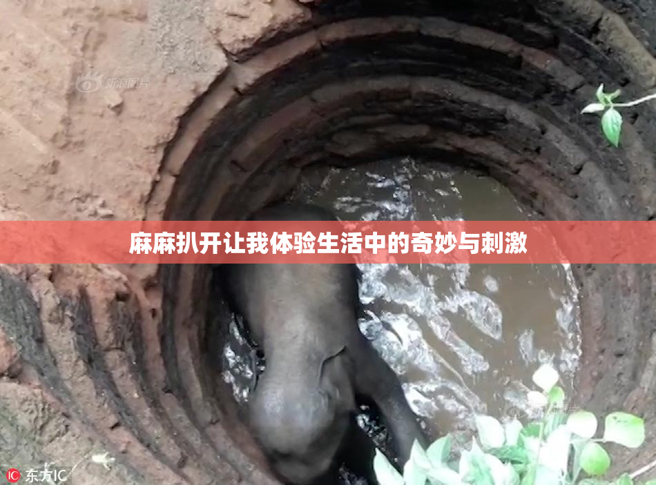 麻麻扒开让我体验生活中的奇妙与刺激