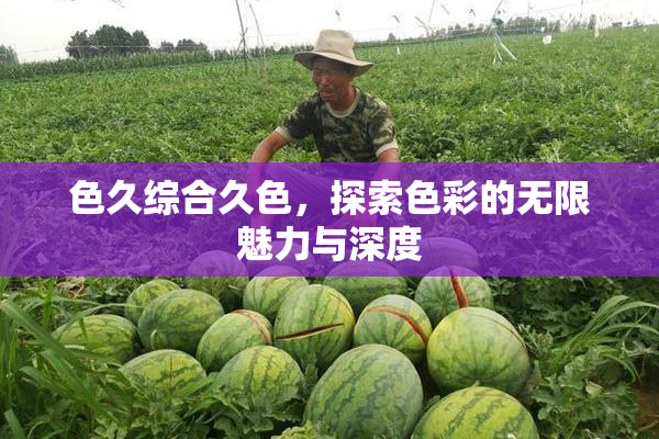 色久综合久色，探索色彩的无限魅力与深度