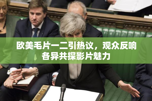 欧美毛片一二引热议，观众反响各异共探影片魅力