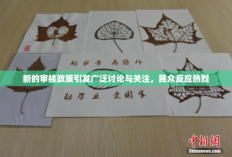 新的审核政策引发广泛讨论与关注，民众反应热烈