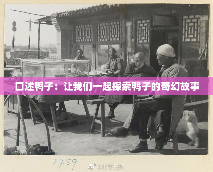 口述鸭子：让我们一起探索鸭子的奇幻故事