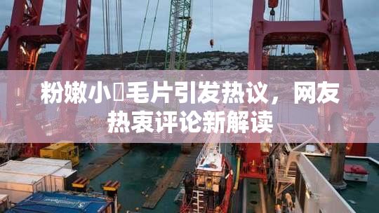 粉嫩小泬毛片引发热议，网友热衷评论新解读