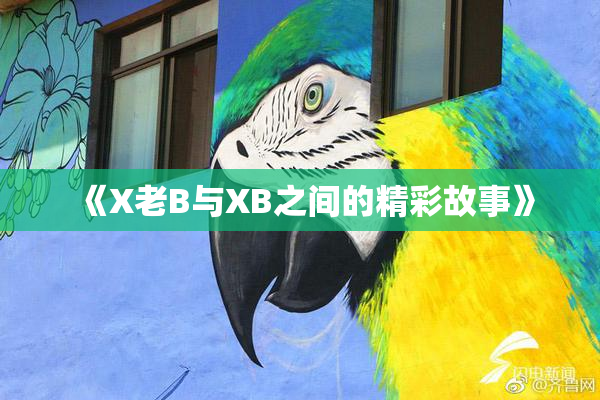 《X老B与XB之间的精彩故事》