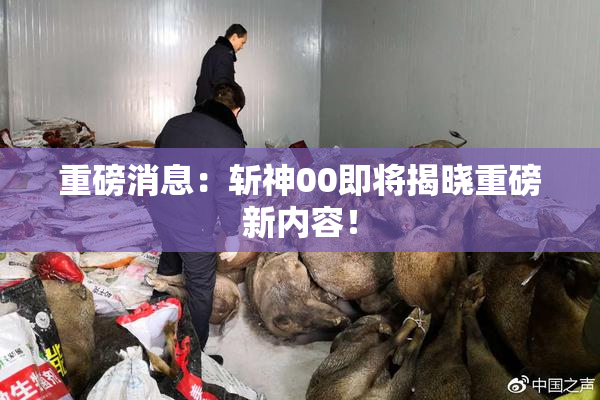 重磅消息：斩神00即将揭晓重磅新内容！