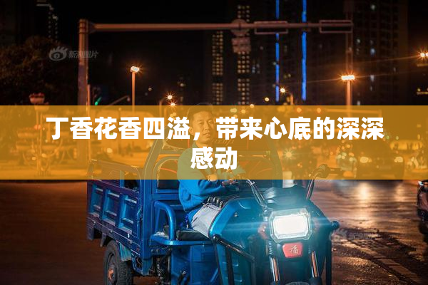 丁香花香四溢，带来心底的深深感动