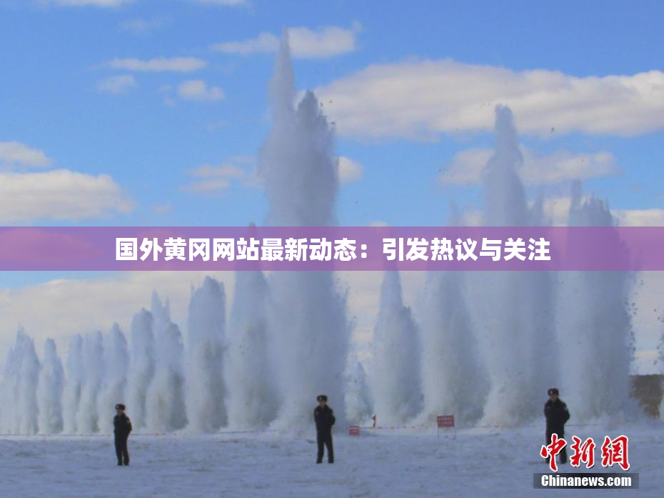 国外黄冈网站最新动态：引发热议与关注