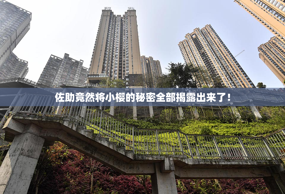 佐助竟然将小樱的秘密全部揭露出来了！