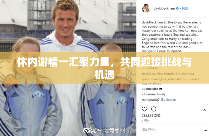休内谢精一汇聚力量，共同迎接挑战与机遇