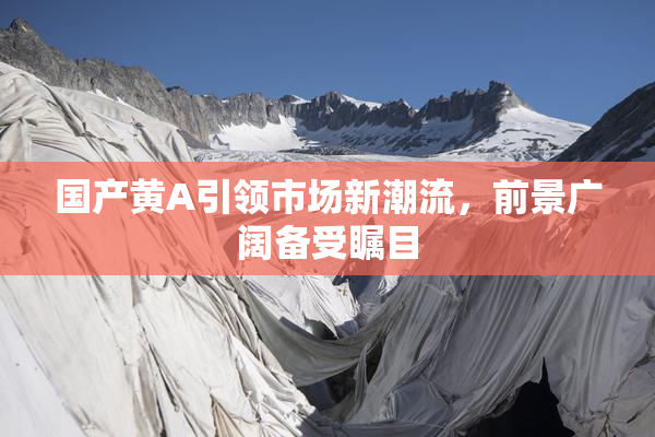 国产黄A引领市场新潮流，前景广阔备受瞩目