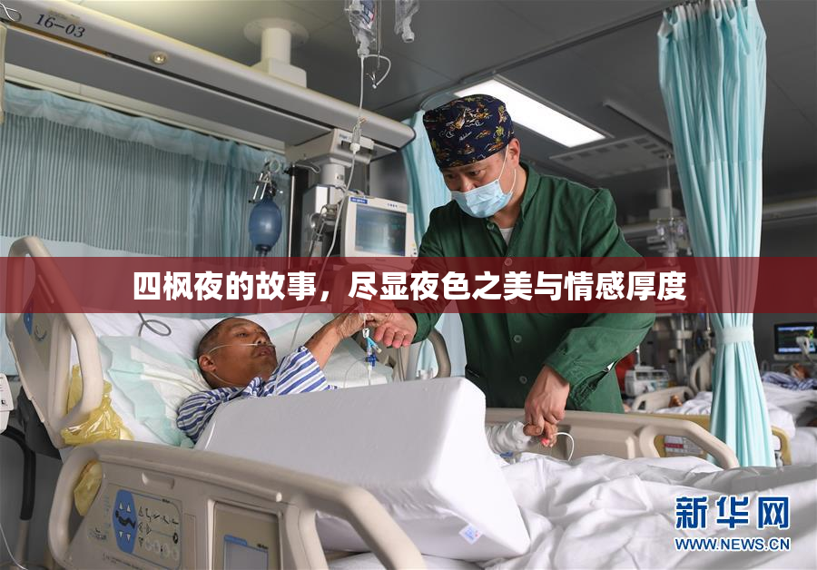四枫夜的故事，尽显夜色之美与情感厚度