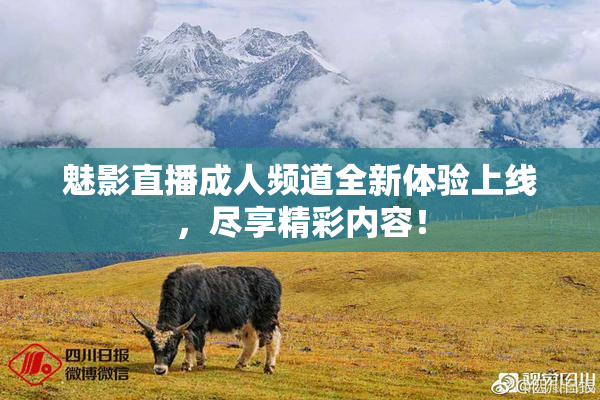 魅影直播成人频道全新体验上线，尽享精彩内容！