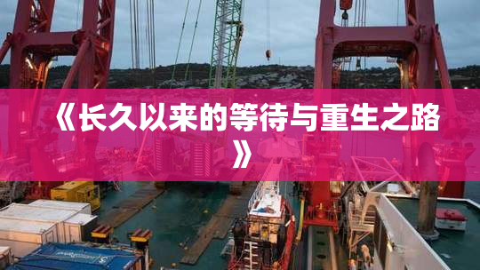 《长久以来的等待与重生之路》
