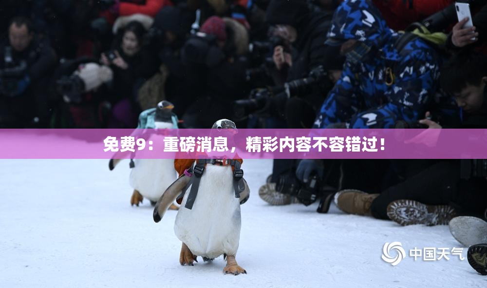 免费9：重磅消息，精彩内容不容错过！