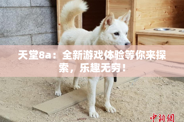 天堂8a：全新游戏体验等你来探索，乐趣无穷！